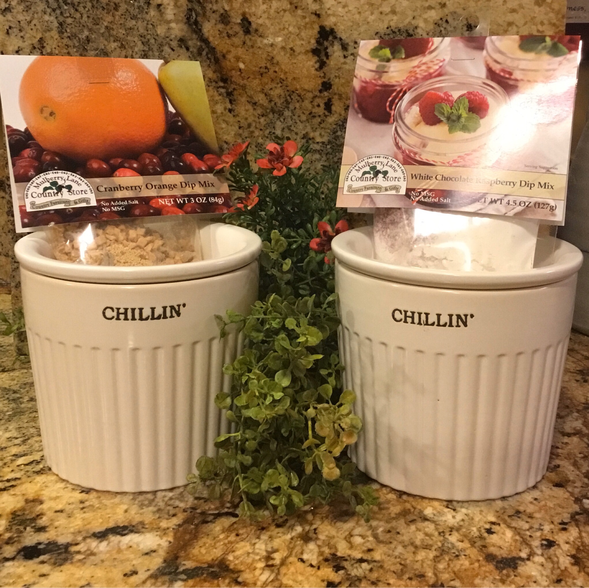 Chillin’ Two piece Dip Crock